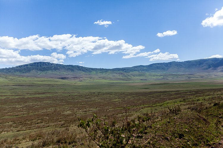 TZA ARU Ngorongoro 2016DEC23 047